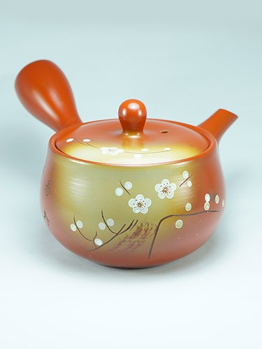 Shiraume plum flowers teapot