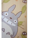 Noren Totoro Susuwatari