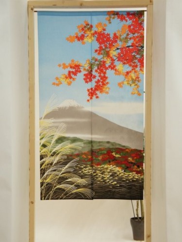 Noren Momiji Fuji Mapple Tree