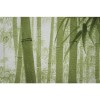 Noren Bamboo forest