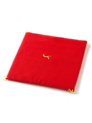 Coussin Rouge